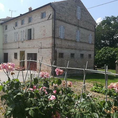 Casa Vacanze Da Peppa Grottazzolina Exterior photo