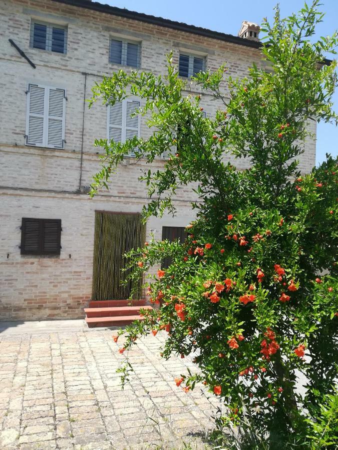 Casa Vacanze Da Peppa Grottazzolina Exterior photo